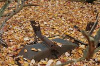 Remains of the Ford used to power the tow rope